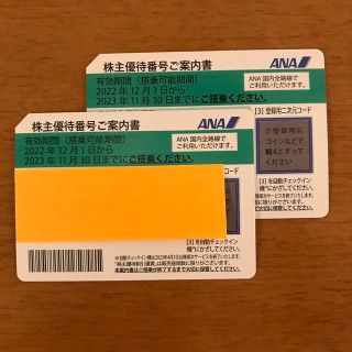 エーエヌエー(ゼンニッポンクウユ)(ANA(全日本空輸))のANA株主優待券＊2枚(その他)