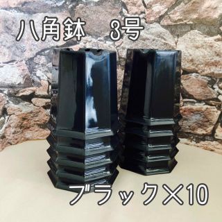 八角鉢  3号 黒 10個 プラ鉢 黒 アガベ 多肉植物(プランター)