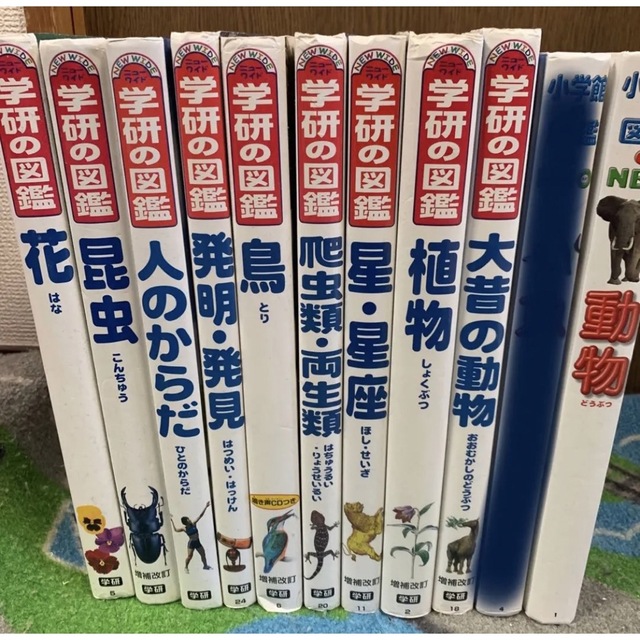 【10冊セット】ニューワイド学研図鑑＋小学館NEO