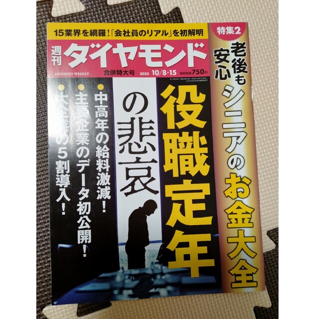 ダイヤモンド社(ダイヤモンドシャ)の週刊 ダイヤモンド 2022年 10/15号 エンタメ/ホビーの雑誌(ビジネス/経済/投資)の商品写真