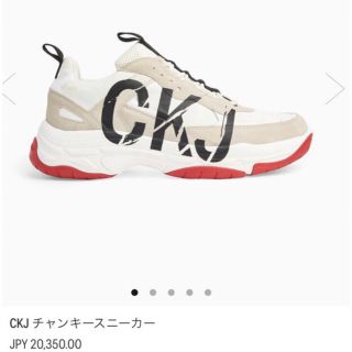 カルバンクライン(Calvin Klein)のCalvin Klein✨ チャンキースニーカー 39(スニーカー)