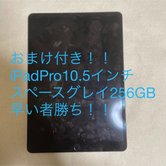 匿名配送！iPadpro10.5インチWi-Fiモデル256G