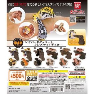 バンダイ(BANDAI)のいきもの大図鑑 指まきコレクション レオパードゲッコーとクレステッドゲッコー6種(その他)