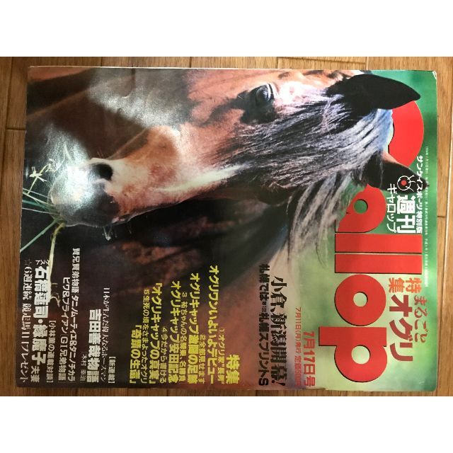週刊Gallop 94年7月発行『まるごとオグリ特集』