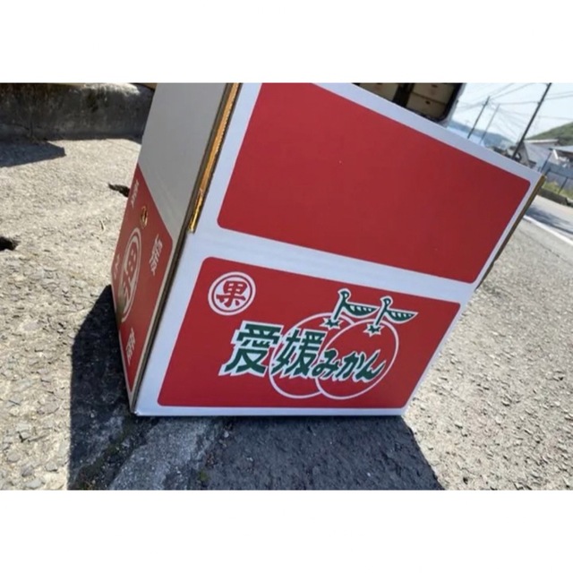 愛媛県産　はれひめ　柑橘　10kg 食品/飲料/酒の食品(フルーツ)の商品写真