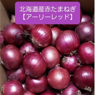 北海道産 赤玉ねぎ【アーリーレッド】Ｍサイズ 約５キロ(野菜)