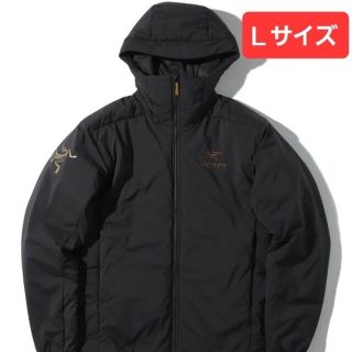 アークテリクス(ARC'TERYX)のBeams Logo Atom AR Hoody アークテリクス Lサイズ(ダウンジャケット)