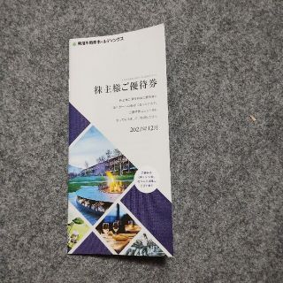 東急不動産ホールディングス 優待券(その他)