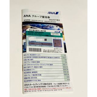 ANA 株主優待カード(その他)