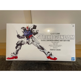 バンダイ(BANDAI)のGAT-X105 Strike Gundam PG 1/60 ガンプラ ガンダム(模型/プラモデル)