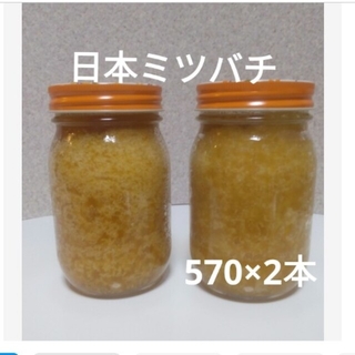 日本ミツバチの蜂蜜  (570×2本)(その他)