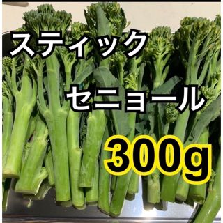 スティックセニョール　300g(野菜)