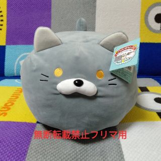 ドウシシャ(ドウシシャ)の新品 ごろねこサミット 第17回おうち代表ねこ会議 アヤダ もちもち クッション(ぬいぐるみ)