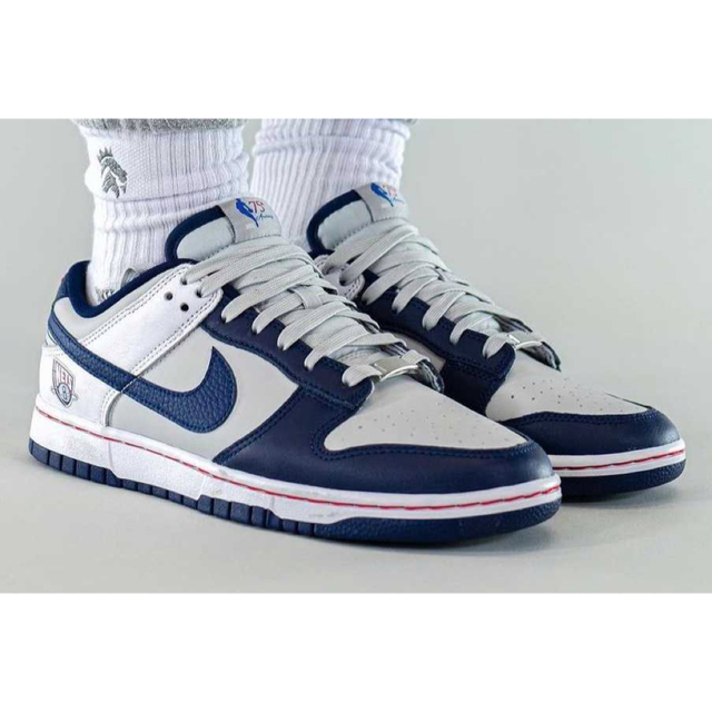 NIKE(ナイキ)のNIKE DUNK LOW RETRO EMB メンズの靴/シューズ(スニーカー)の商品写真