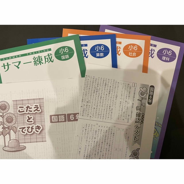 宅配便送料無料 塾用教材 小学6年 サマー錬成 国語 算数 社会 理科