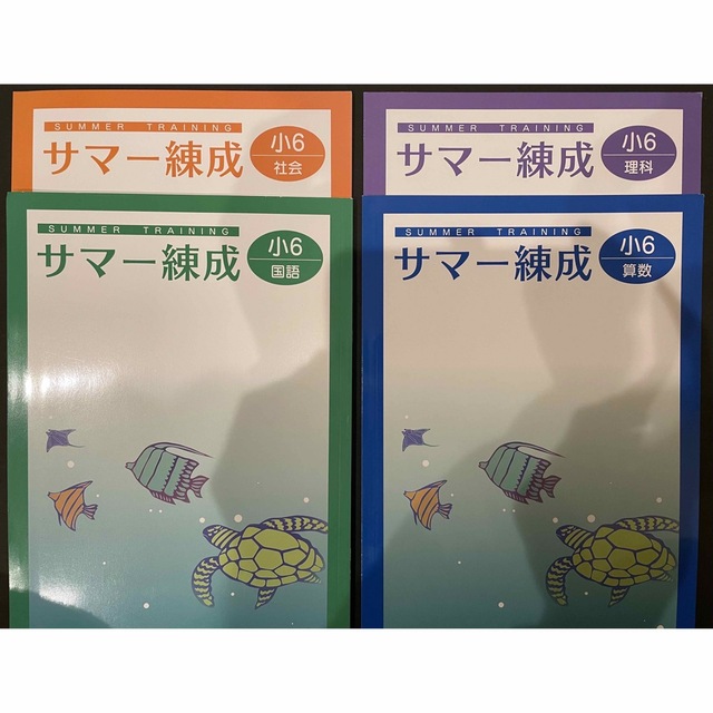 塾用教材　小学6年 サマー錬成　国語　算数　社会　理科　4冊セット エンタメ/ホビーの本(語学/参考書)の商品写真