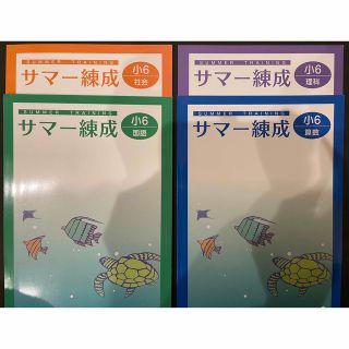 塾用教材　小学6年 サマー錬成　国語　算数　社会　理科　4冊セット