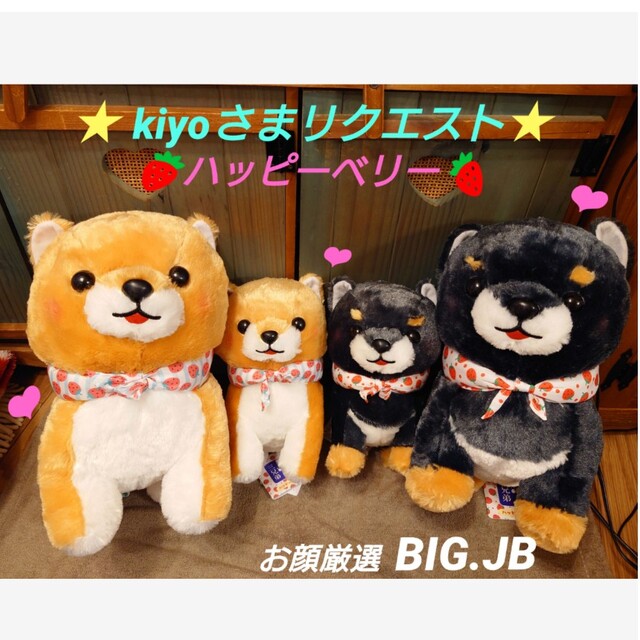 豆しば三兄弟♥ハッピーベリー❤︎【kiyoさまリクエスト】 超歓迎