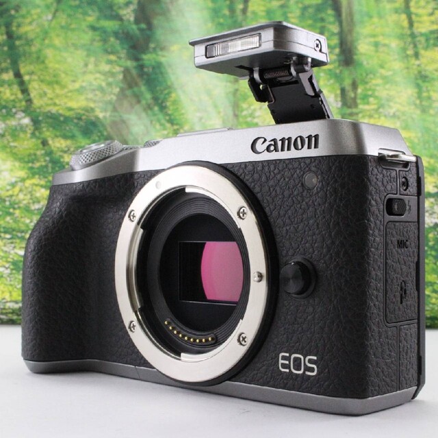 Canon ミラーレス一眼カメラ EOS M6 Mark IIボディー シルバー