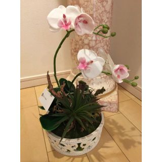 光触媒 人工観葉植物 ウォールグリーン フェイク フラワー 胡蝶蘭8148