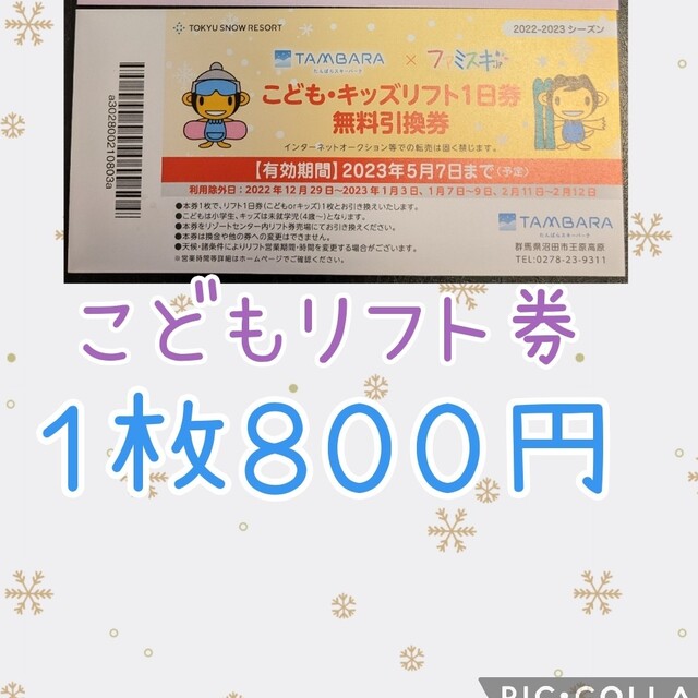 たんばらスキーパークこどもリフト券　1枚800円 チケットの施設利用券(スキー場)の商品写真