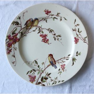 希少】フランス アンティーク 多色刷り choisy le roi 小鳥の通販 by