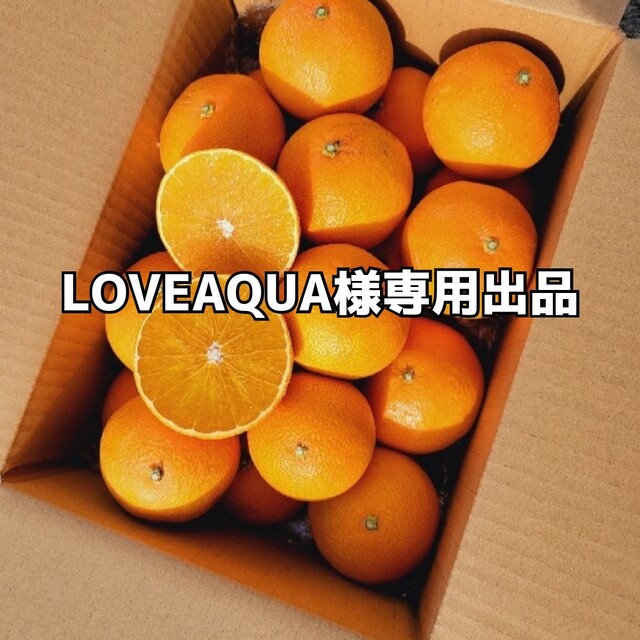 LOVEAQUA様専用出品 食品/飲料/酒の食品(フルーツ)の商品写真