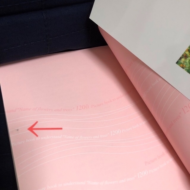 「花と木の名前」1200がよくわかる図鑑 エンタメ/ホビーの本(趣味/スポーツ/実用)の商品写真
