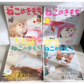 ベネッセ(Benesse)のねこのきもち①　雑誌のみ　4冊　2017.4・2018.6〜8月号(専門誌)