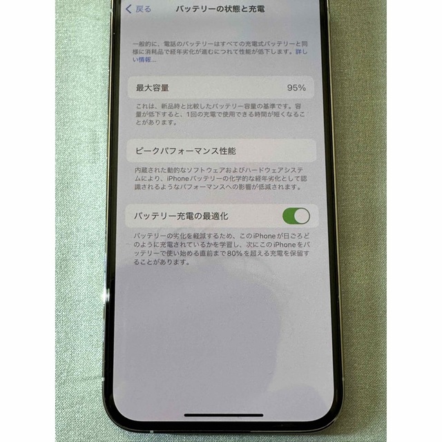 iPhone 13 Pro 256G シルバー  +  特典 2