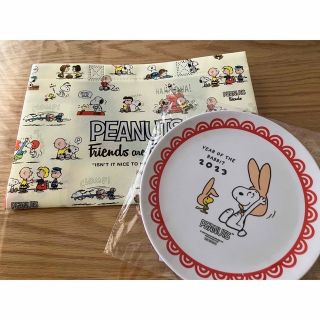 スヌーピー(SNOOPY)のスヌーピー　プレート　袋　&ドラえもんナップザック(食器)