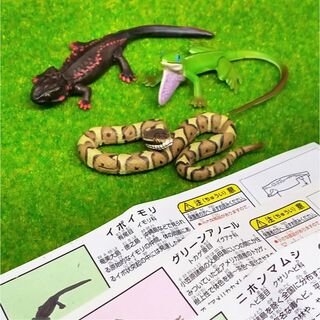 フルタセイカ(フルタ製菓)のチョコエッグ　日本の動物コレクション　３種類(その他)