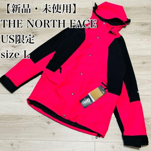 THE NORTH FACE  マウンテンパーカー　メンズ　Lサイズ　海外購入