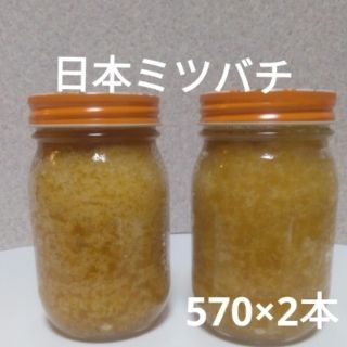 日本ミツバチの蜂蜜 (570×2本)(その他)