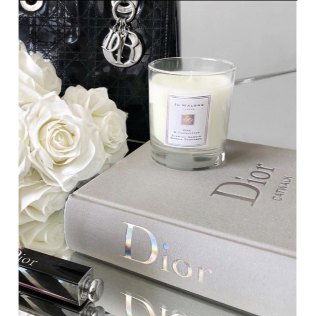 【新品】CHRISTIAN  DIOR ハードケース 限定商品【送料無料】