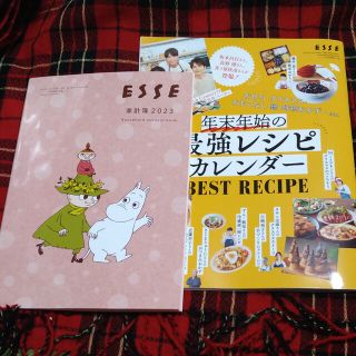 ムーミン(MOOMIN)のESSE　付録　ムーミン　家計簿(カレンダー/スケジュール)