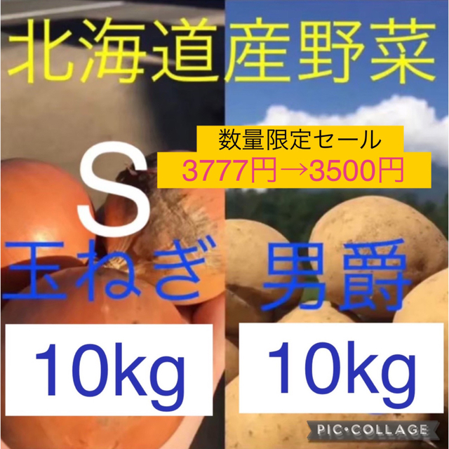 北海道産じゃがいも10kg玉ねぎ10kg　野菜