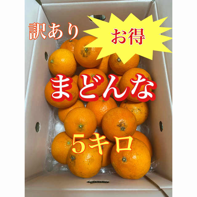 紅まどんな　あいか　愛媛県産　みかん　5キロ　ご家庭用 食品/飲料/酒の食品(フルーツ)の商品写真