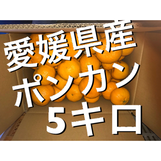 愛媛県産ポンカン5キロ 食品/飲料/酒の食品(フルーツ)の商品写真