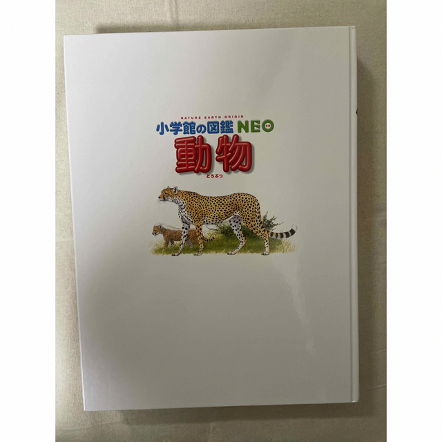 小学館(ショウガクカン)の小学館の図鑑NEO 動物 エンタメ/ホビーの本(絵本/児童書)の商品写真