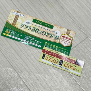 専用。      高鷲スノーパーク ダイナランド 共通 リフト50%OFF券(ウィンタースポーツ)