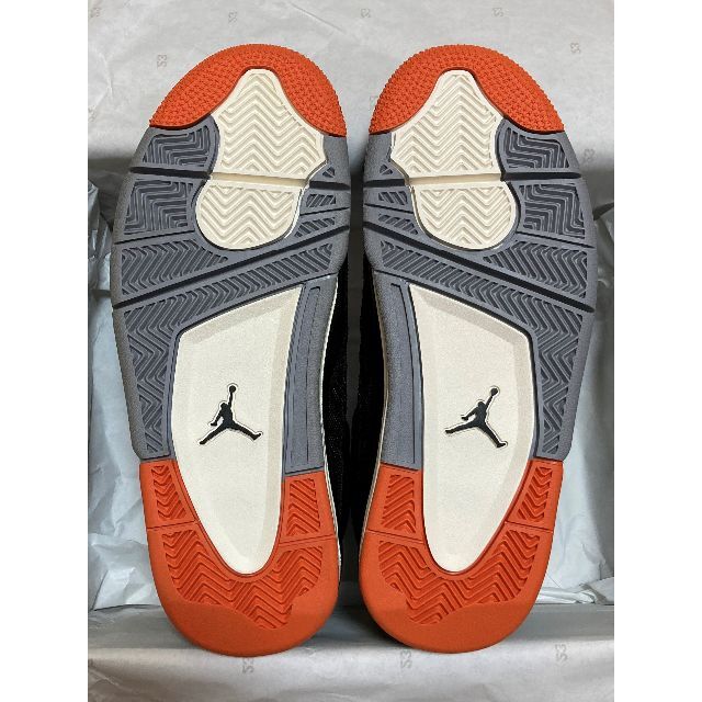 NIKE WMNS AIR JORDAN 4 STARFISH 23.5cm