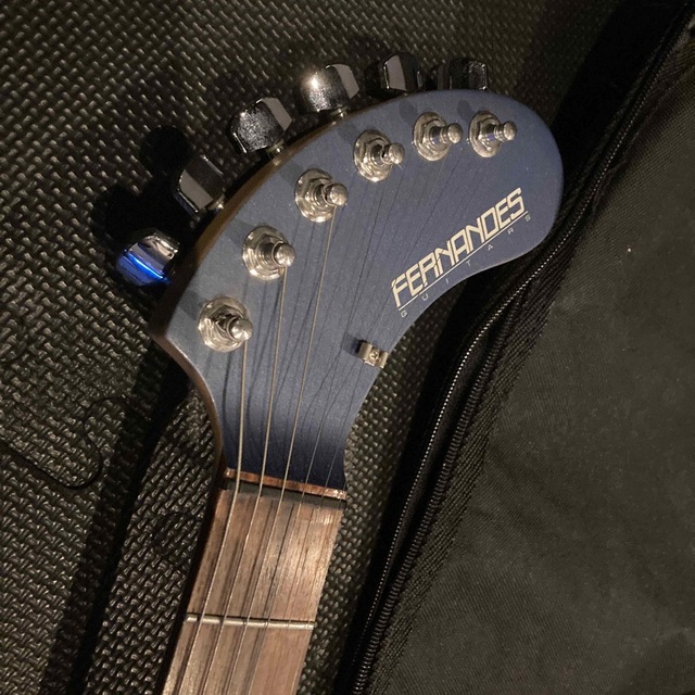 ギター DIGI-ZO ?詳細不明 fernandes ギター DIGI-ZO ?詳細不明 fernandes