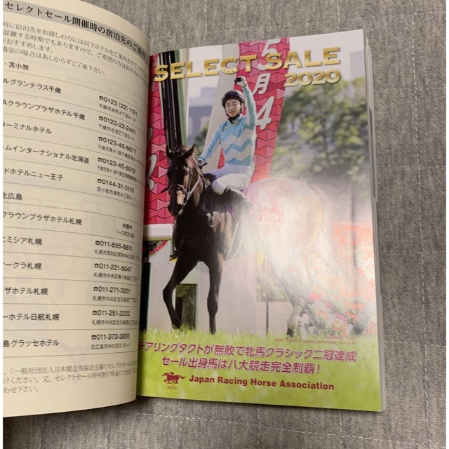 セレクトセール 2020 カタログ エンタメ/ホビーの本(趣味/スポーツ/実用)の商品写真