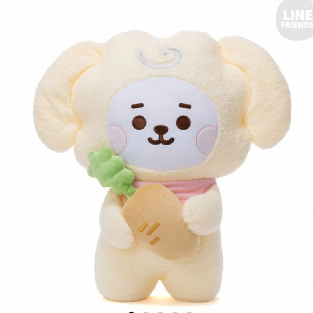 BT21たっとんぬいぐるみＬサイズ　RJ