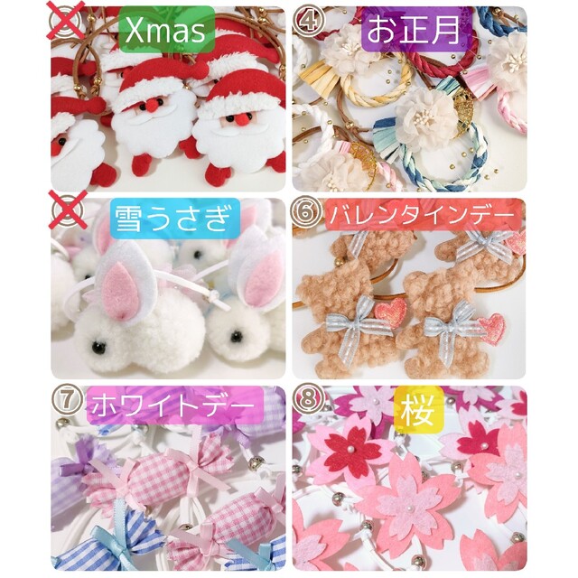 背景紙×5+1 ペット撮影用 簡単フォトブース 業務用トリミング