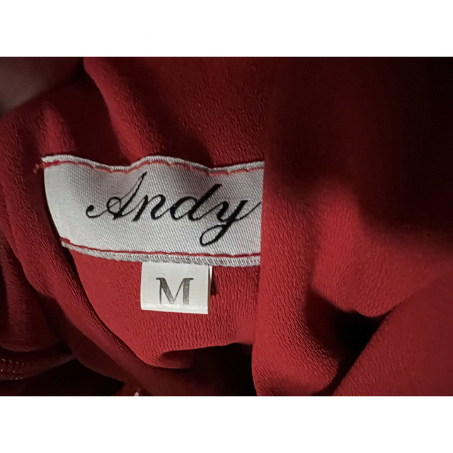 Andy(アンディ)のAndyミニドレス レディースのフォーマル/ドレス(ミニドレス)の商品写真