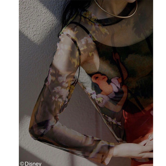 Ameri VINTAGE(アメリヴィンテージ)のAMERI Snow White / SHEER TOP レディースのトップス(シャツ/ブラウス(長袖/七分))の商品写真