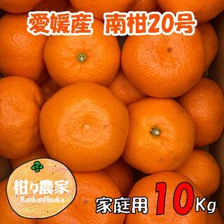 【追熟濃厚】南柑20号みかん　家庭用　10キロ(フルーツ)