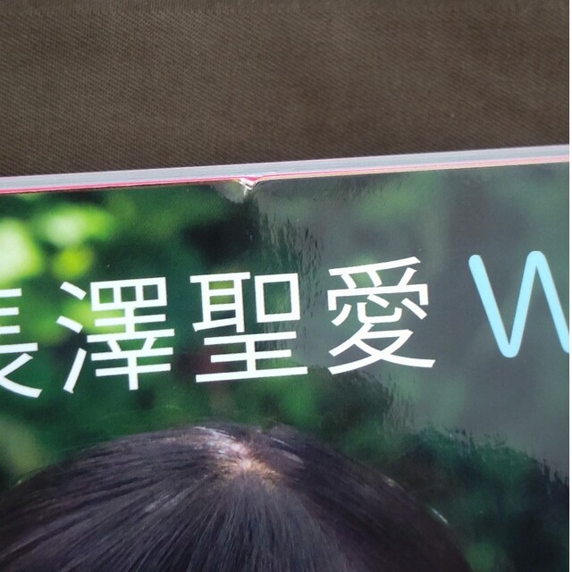 長澤茉里奈×長澤聖愛『Ｗｐｏｃｃｈｉ』 エンタメ/ホビーの本(アート/エンタメ)の商品写真